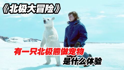 北极大冒险：有一只北极熊做宠物，是什么体验