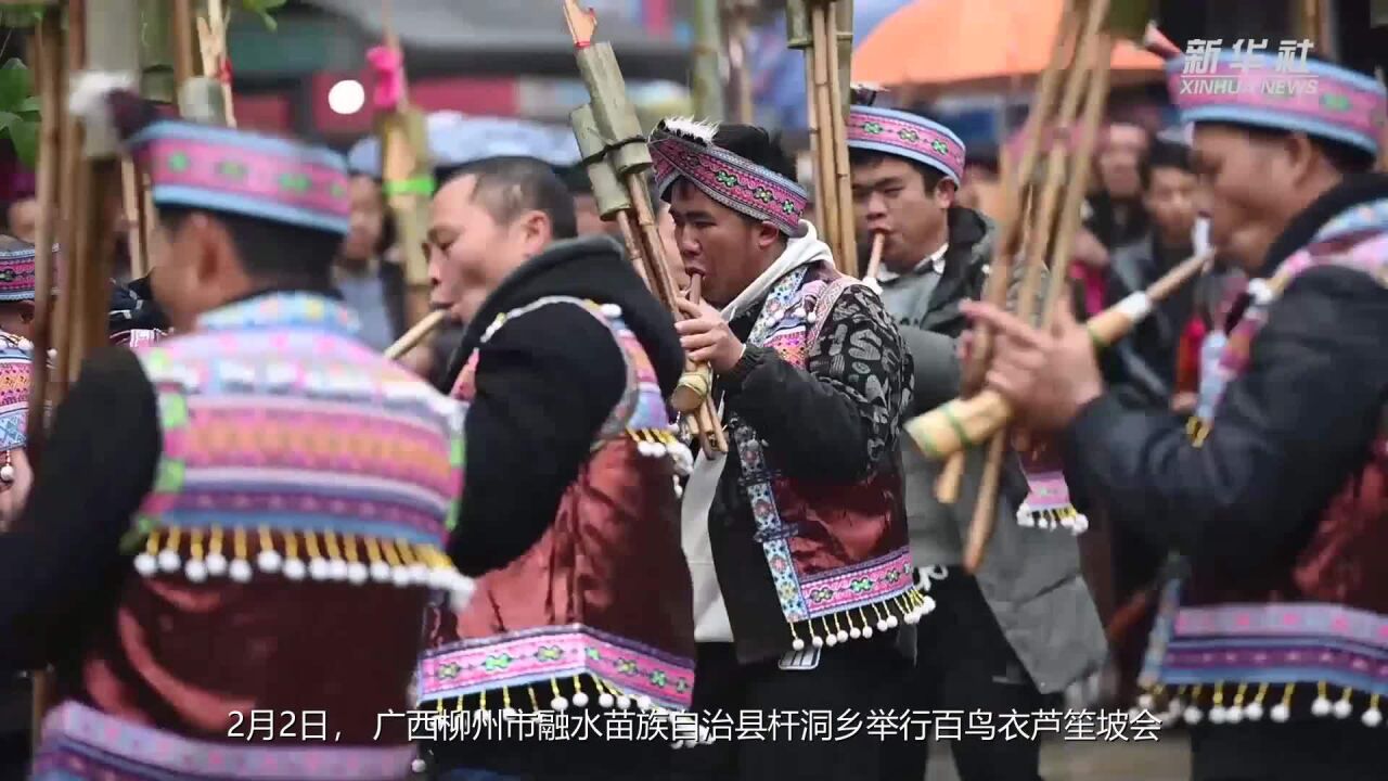 广西融水:“百鸟衣”坡会热闹非凡