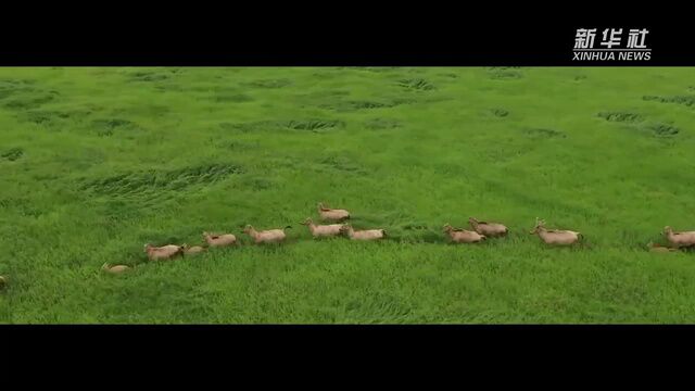 谱写美丽中国的湿地篇章——写在第27个世界湿地日