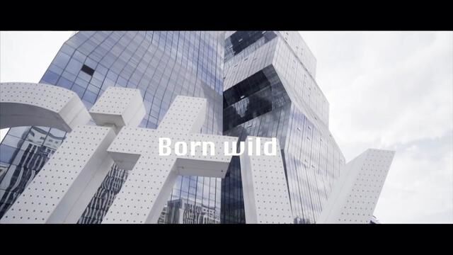 这个是徐哥在19年2月底历时5天拍拍摄的《Born Wlid》天生狂野,感谢徐哥辛苦拍摄.#滑板 #滑板培训