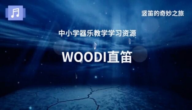 #WOODI直笛 #八孔英式竖笛 #中小学器乐教学 #次中音竖笛《花开忘忧》