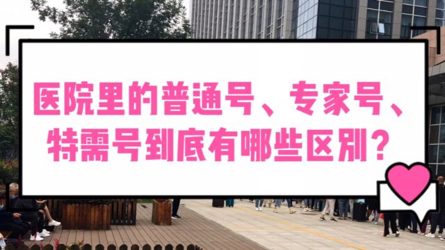 医院里的普通号、专家号、特需号到底有哪些区别?