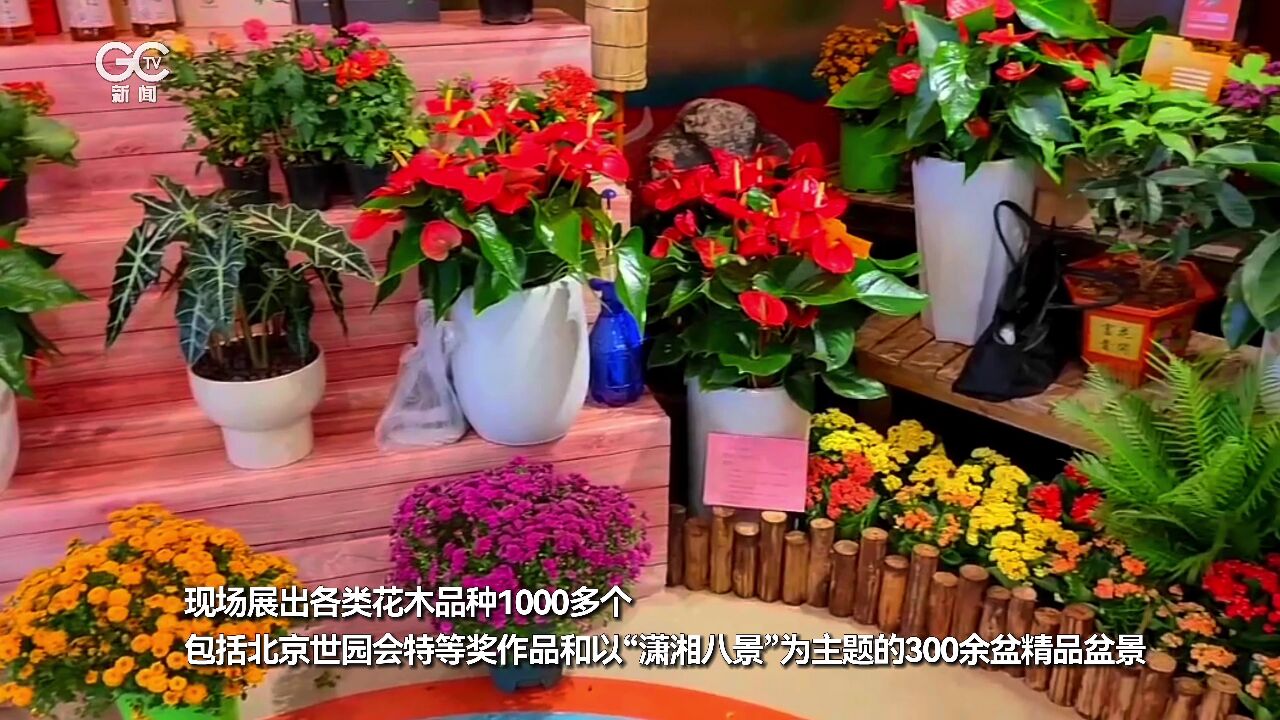 来第二届湖南花博会看“花花世界”