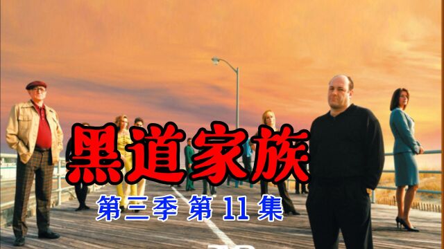 《黑道家族》第三季第11集:迷失