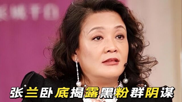 张兰卧底揭露黑粉群,幕后疑是大S,民族企业岂能是杀猪盘祭品