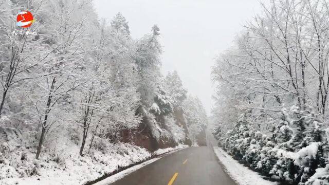 【麦积山银装素裹 雪景雾凇美如画