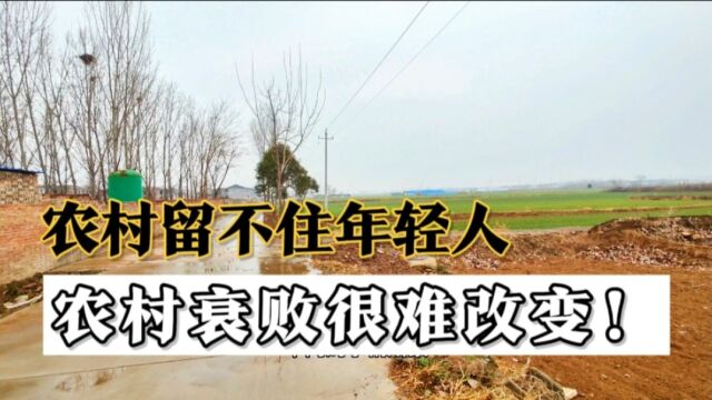 大量清北优秀人才选择国外发展,和农村留不住人才,和情怀无关!