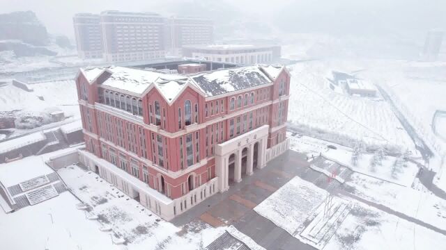 石家庄财经职业学院雪景