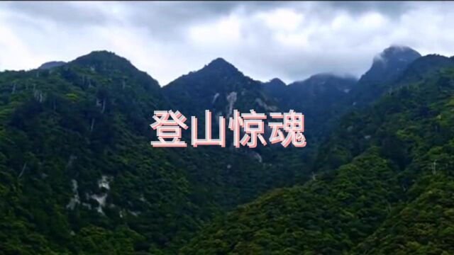 登山惊魂 故事