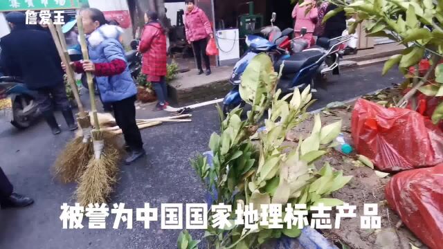 广丰二十四都赶集,村民花30买马家柚树苗,担心柚子卖不出去