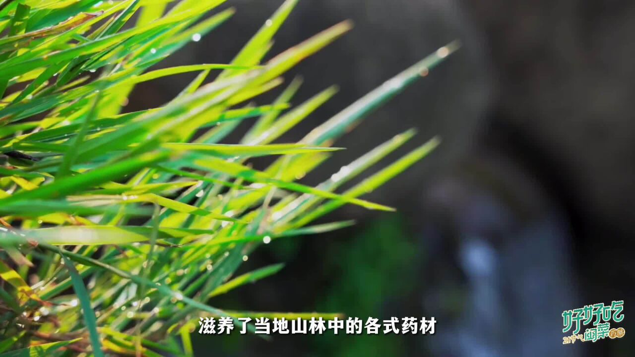 好好吃24节气闽菜药膳 | 三草炖鹅