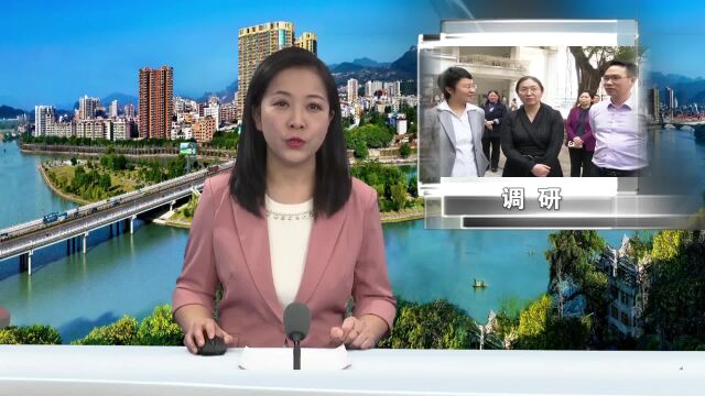 广州市教育局党组书记、局长陈爽率队来连州调研教育工作