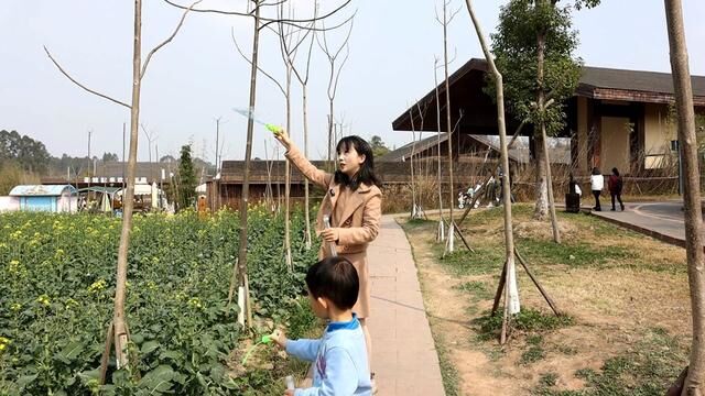 来了很多次黄龙溪欢乐田园,这一次理顺了,给你们出个攻略,供大家参考#遛娃就去欢乐田园 #黄龙溪欢乐田园#亲子游玩好去处