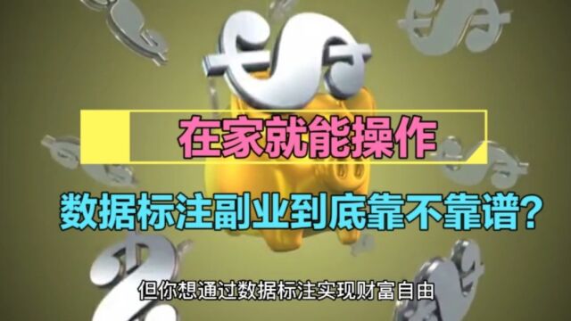 在家就能操作的数据标注副业到底靠不靠谱?