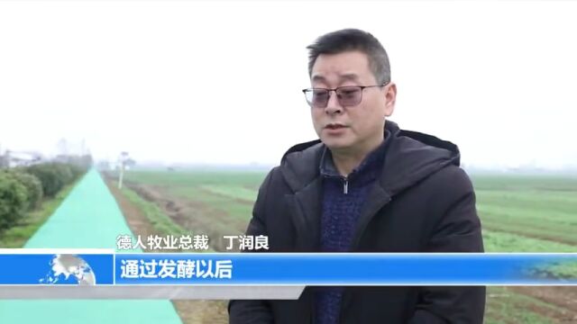 常德新闻联播|西湖管理区:沼气为“媒”种养“牵手” 4万亩土地吃上“营养餐”