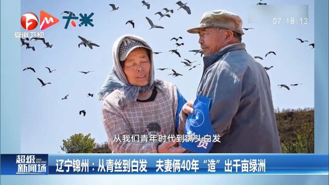 辽宁锦州:从青丝到白发,夫妻俩40年“造”出千亩绿洲