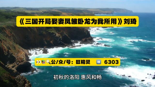 《三国开局娶妻凤雏卧龙为我所用》刘琦全文在线阅读◇无删减