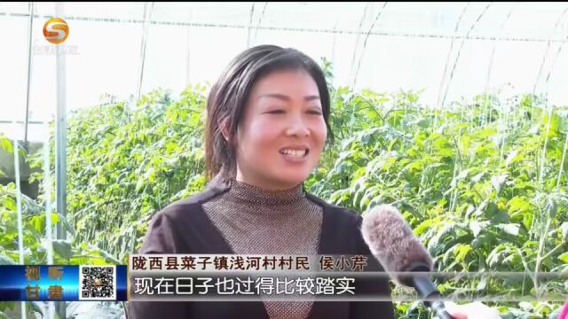 定西:“党建+产业”激活乡村发展新动能