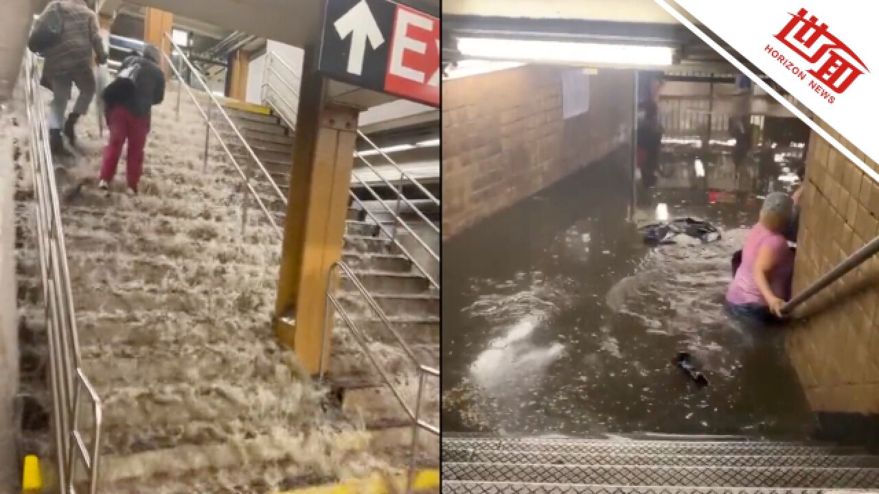 纽约单日降雨量创历史纪录:市民蹚水乘地铁 动物园海狮逃上假山躲避