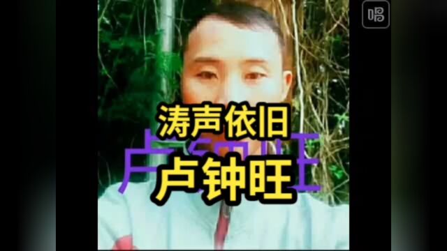 卢钟旺完全经典涛声依旧