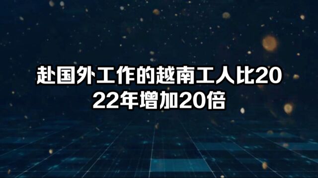 赴国外工作的越南工人比2022年增加20倍