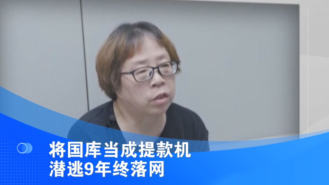 将国库当成提款机 潜逃9年终落网