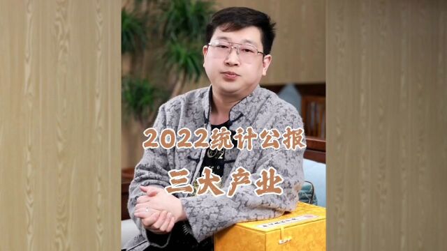 2022统计公报,三大产业