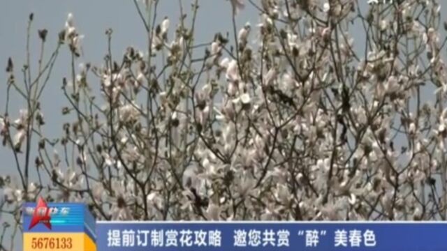 一年春景别错过!提前订制赏花攻略,邀您共赏“醉”美春色