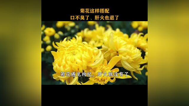 菊花这样搭配,口不臭了,还能帮你养肝护肝!