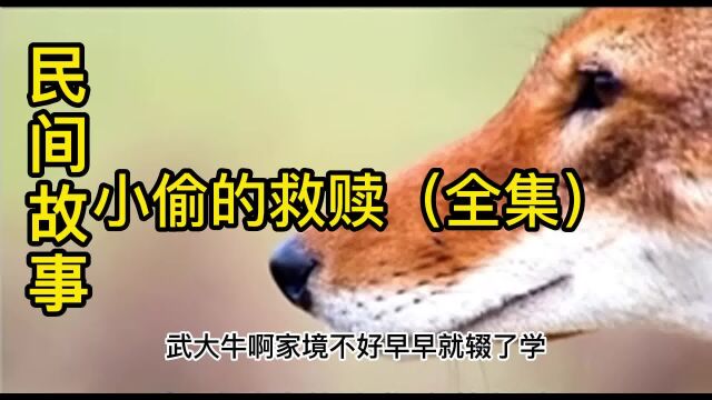 民间故事小偷的救赎(全集)