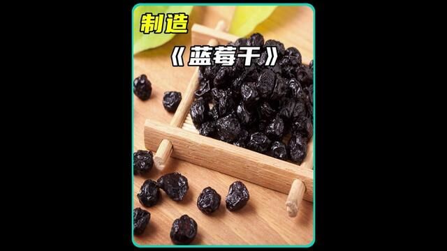 你以为蓝莓是长在树上的吗?带你探索蓝莓干制作工厂#蓝莓#蓝莓干#制作过程#科普#解说