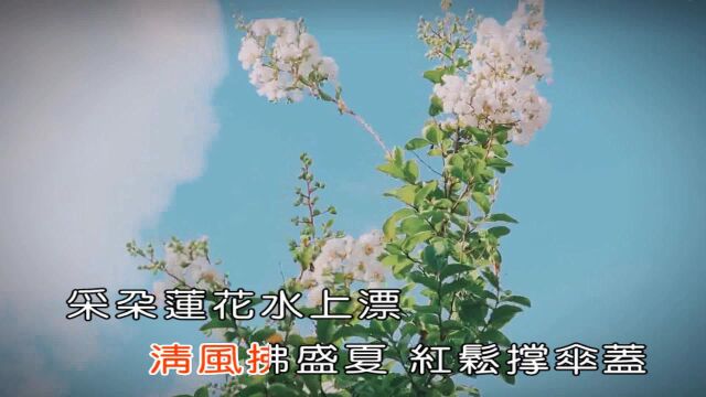 严当当绿水青山迎客来(公交制作)