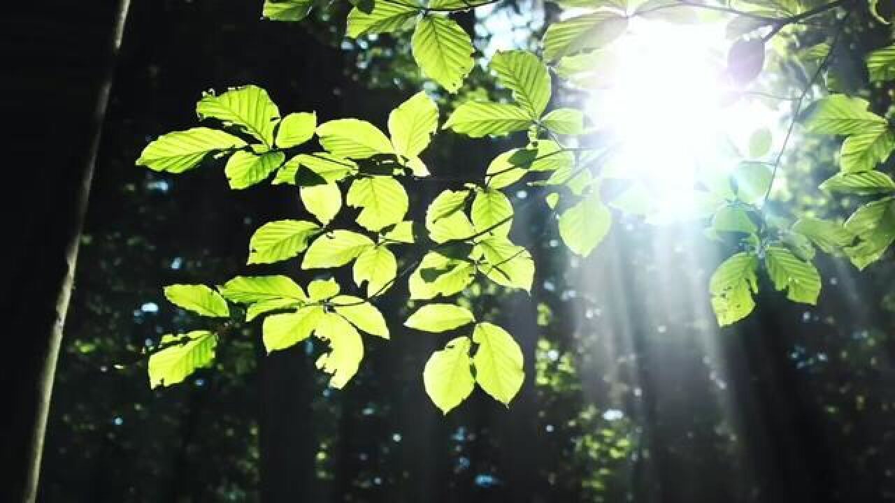 春游江西村之篇章婺源,阳春三月,总要来趟婺源吧!在茶海间、花田里,遇见最灿烂多彩的春色!