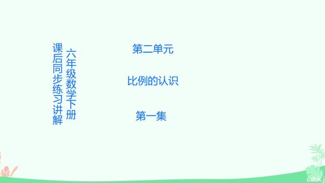 六年级数学下册课后同步练习讲解第二单元比例的认识第1集