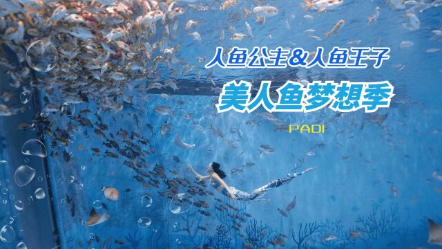 PADI美人鱼梦想季:海昌不仅有人鱼公主还有人鱼王子