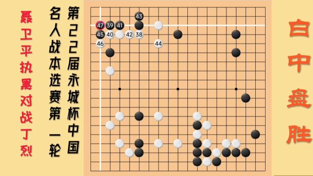 名棋欣赏,第22届永城中国名人战本选赛第一轮,聂卫平执黑VS丁烈