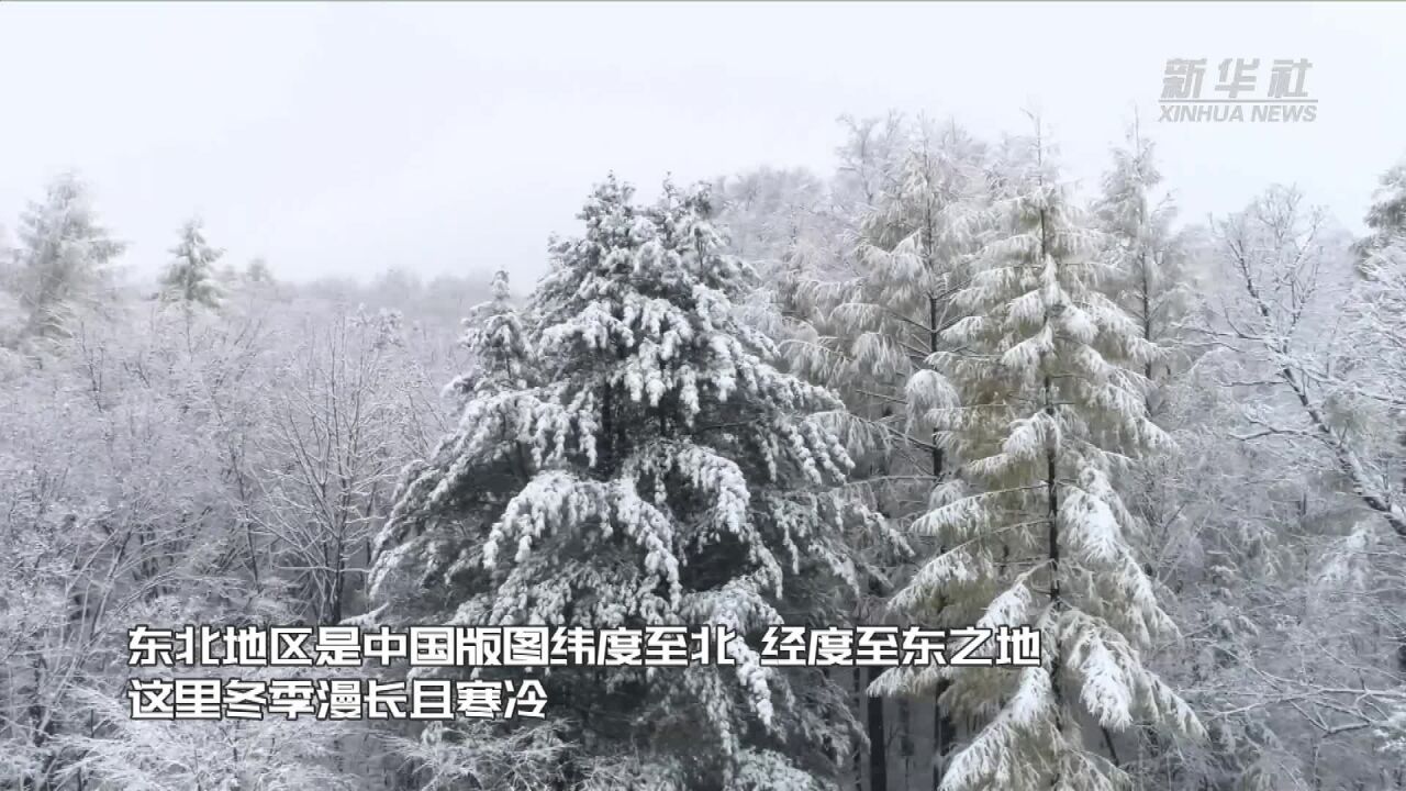 东北振兴的“冰雪引擎”