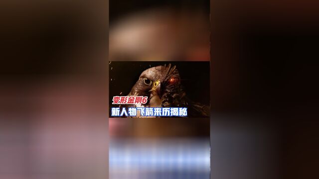 变形金刚6新人物“飞箭”的来历揭秘!既不是汽车人也不是霸天虎