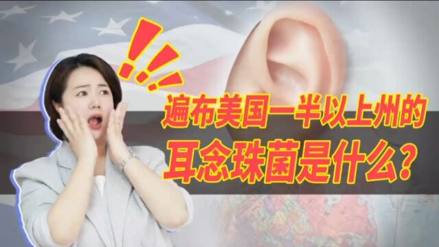 遍布美国一半以上州的耳念珠菌是什么?