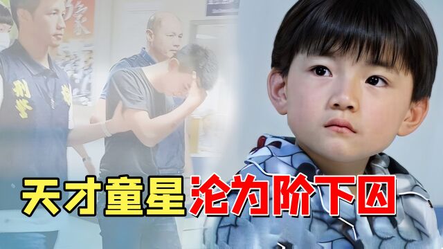 王欣逸毁灭史:与粉丝拍不雅照,16岁进黑帮,如今犯重罪被判17年