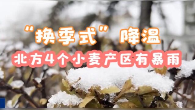 都4月了,却开始下雪了,4个小麦产区有暴雨,厚衣服先别收!