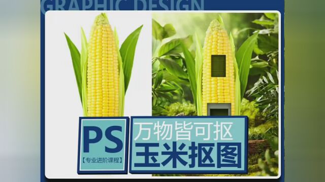 PS零基础教程,万物皆能抠, 平面美工简单易懂 #ps技能