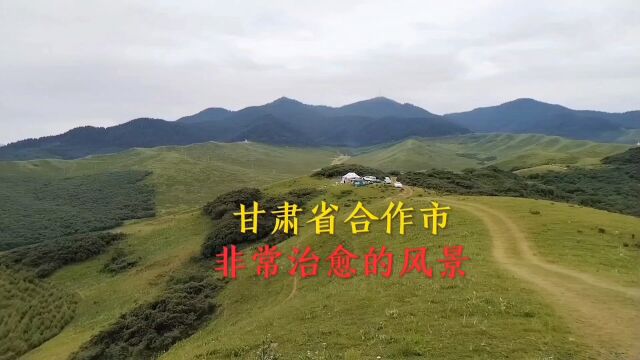 甘肃省甘南藏族自治州合作市非常治愈心情的风景.