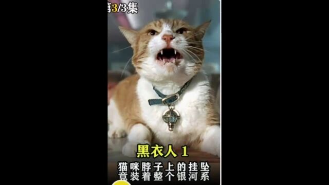 第3集:猫咪脖子上的挂坠,竟然装个银河系!#快手巨星影视计划 #快手影视新热计划 #电影解说 下