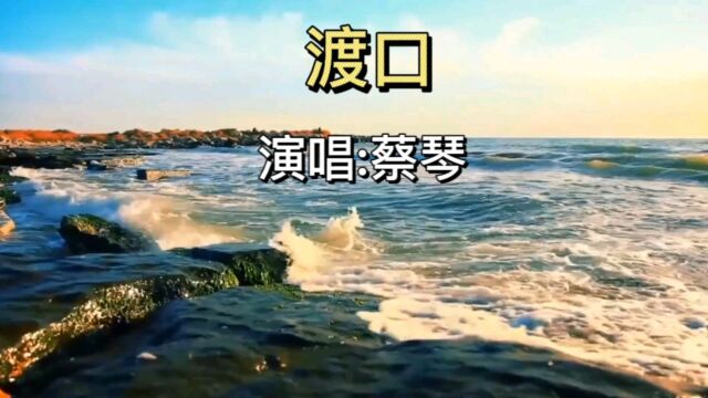 蔡琴经典老歌《渡口》今天我们要分别明天各自珍重