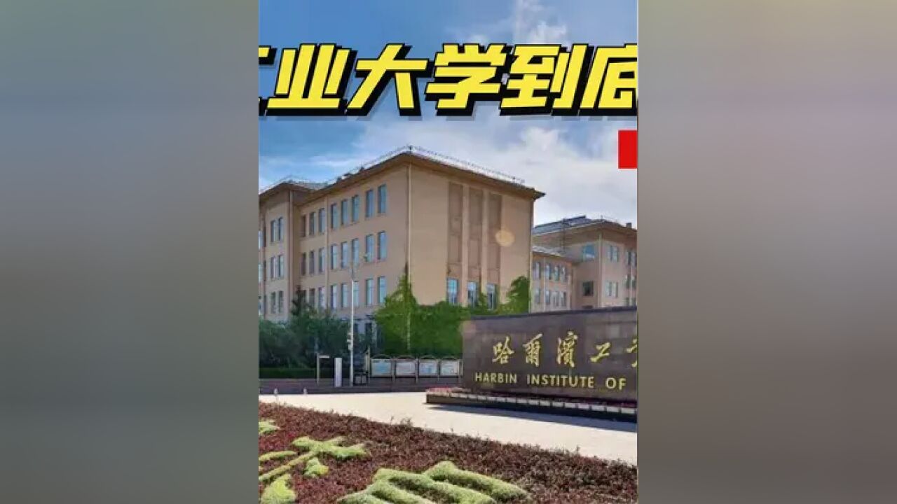 哈尔滨工业大学有多硬核?包机送学生回家,不给外国留学生补贴 #哈工大 #实力 #涨知识