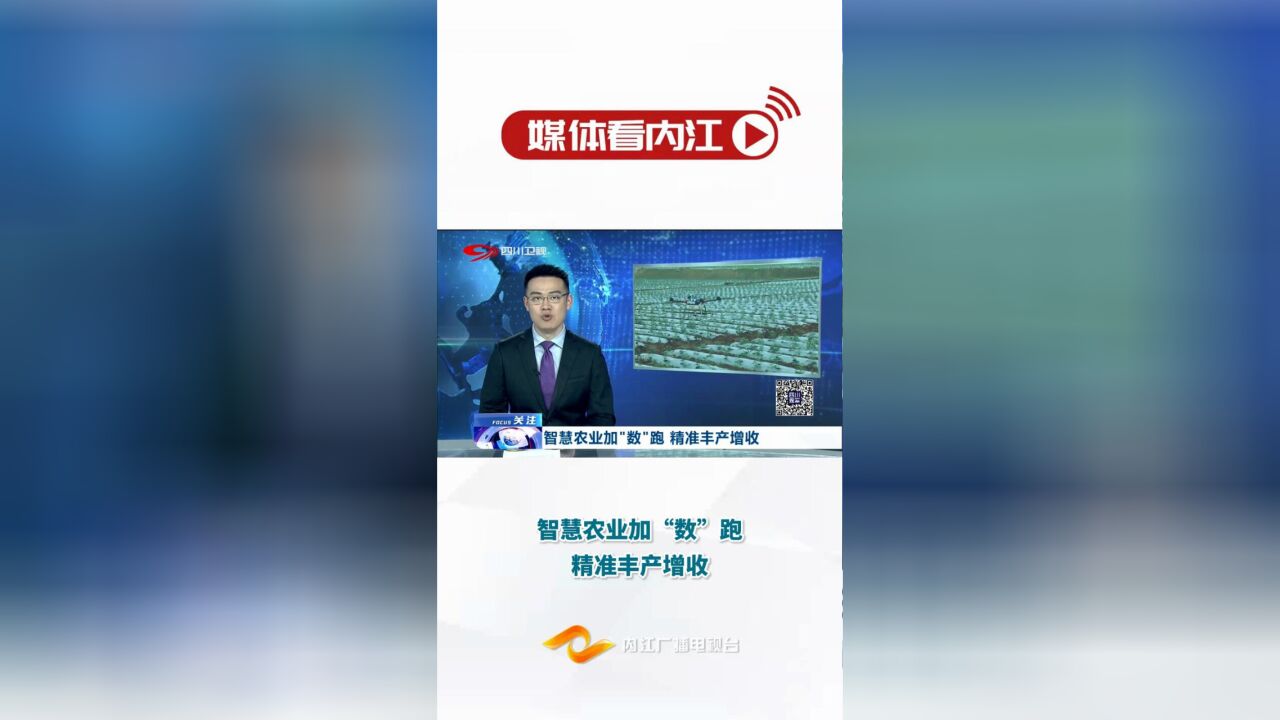 媒体看内江|智慧农业加“数”跑 精准丰产增收