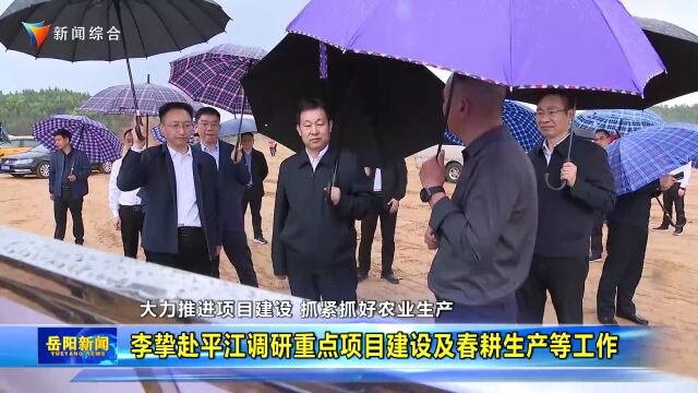 李挚赴平江调研重点项目建设及春耕生产等工作