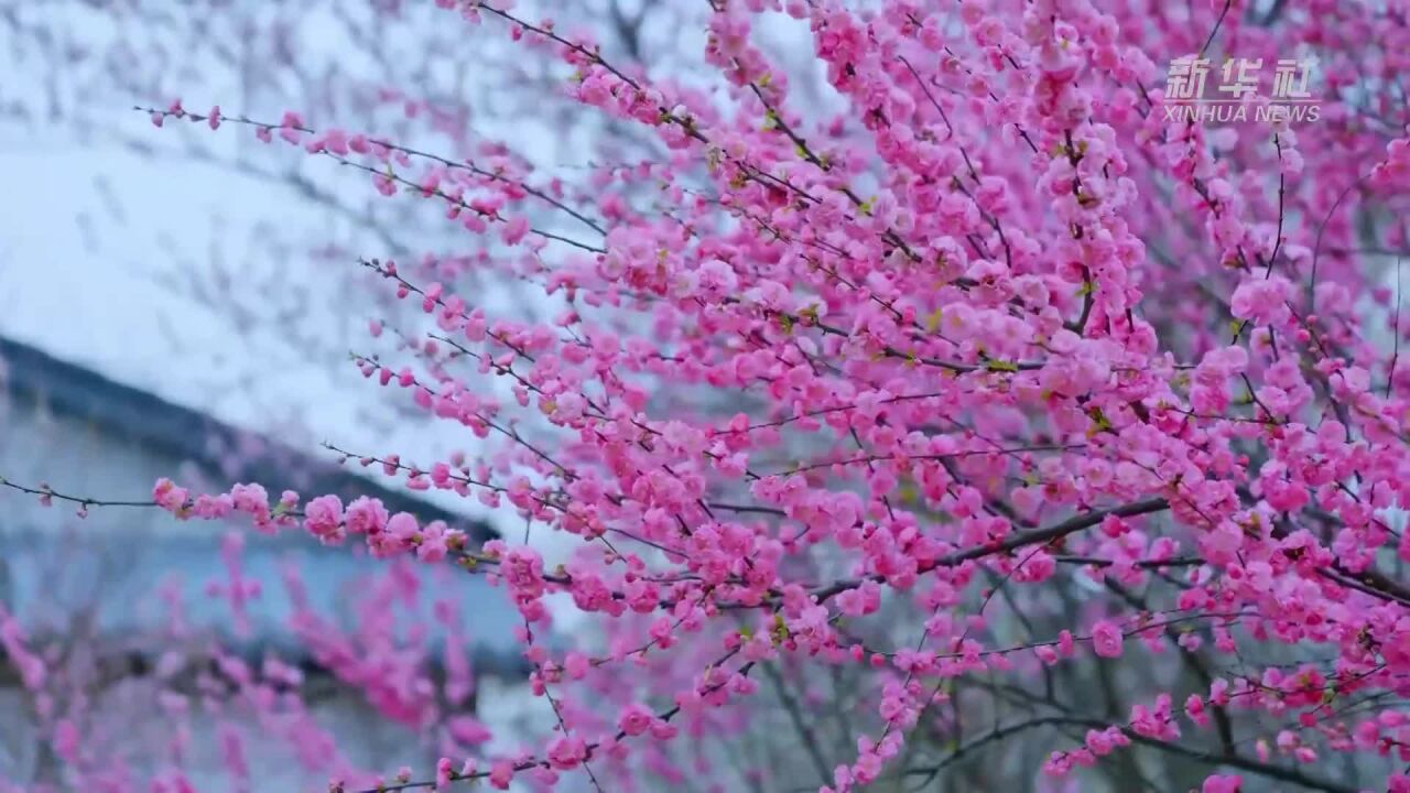 民宿经济让乡村旅游更美好