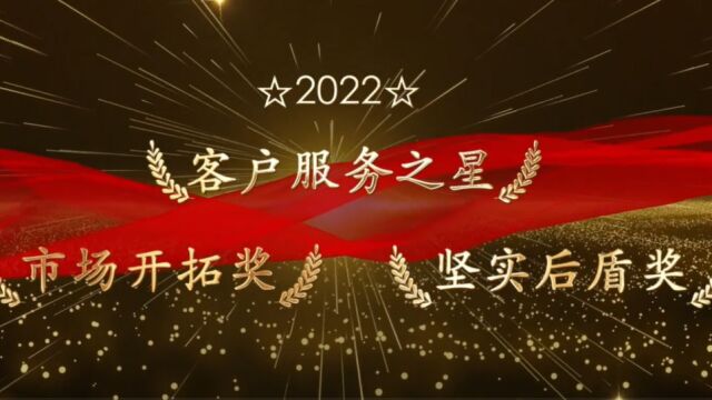 高伟达优秀员工——客户服务之星、市场开拓奖、坚实后盾奖